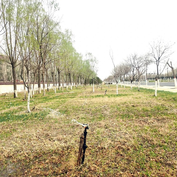 微信圖片_20250515093718.jpg 微信圖片_20250515093718.jpg